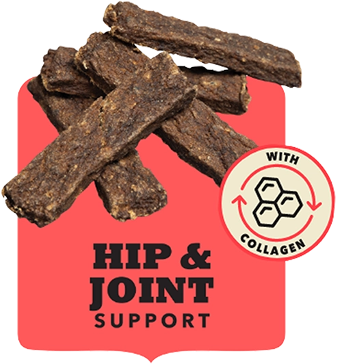 Hip and Joint